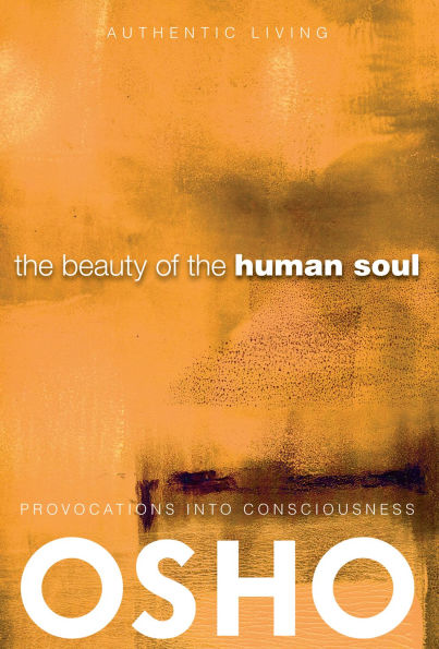 the Beauty of Human Soul: Provocations Into Consciousness
