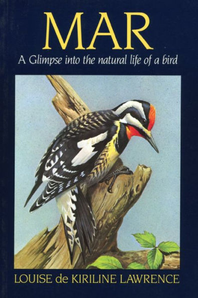 Mar: a Glimpse Into the Natural Life of Bird