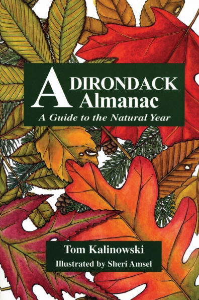 Adirondack Almanac: A Guide to the Natural Year
