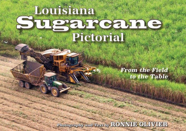 Louisiana Sugarcane Pictorial: From the Field to the Table