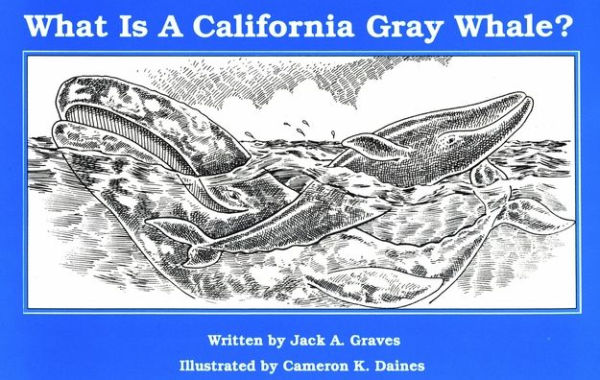 What Is A California Grey Whale?