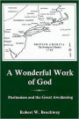 A Wonderful Work Of God: Puritanism and the Great Awakening