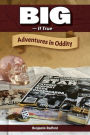 Big-If True: Adventures in Oddity