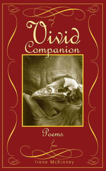 VIVID COMPANION / Edition 1