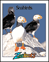 Title: Seabirds (Zoobooks Series), Author: Beth Wagner Brust