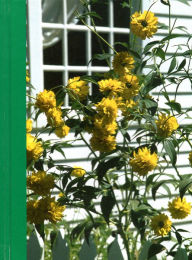 Title: Window Breeze Book Of Days, Author: Mystic Seaport Museum