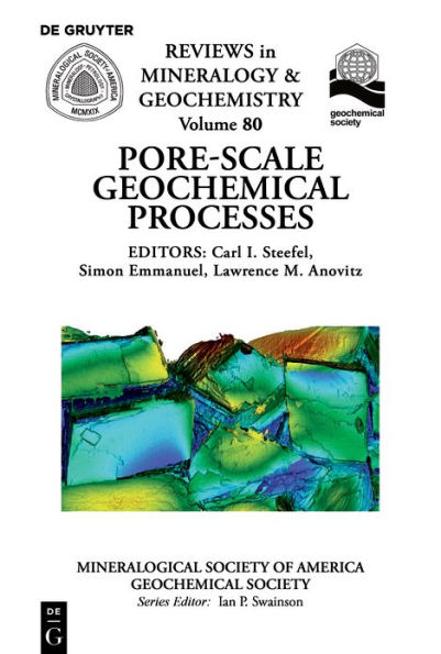 Pore Scale Geochemical Processes