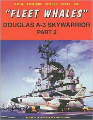 Title: Fleet Whales Douglas A-3 Skywarrior - Part 2, Author: Bruce Cunningham