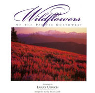 Title: Wildflowers Of The Pacific Northwest, Author: Susan Lamb