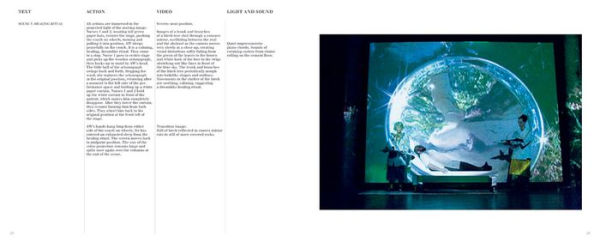 Joan Jonas: The Shape, the Scent, the Feel of Things: Fifteenth Anniversary Edition