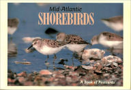 Title: Mid-Atlantic Shorebirds, Author: Down The Shore Publishing