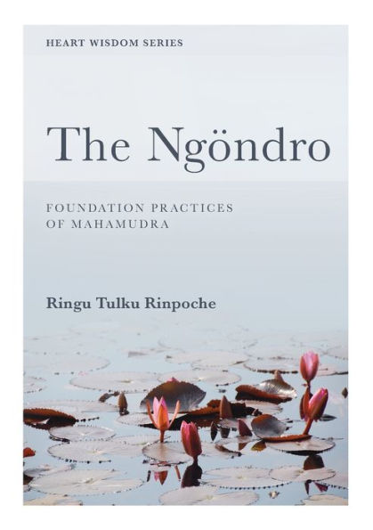 The NgÃ¯Â¿Â½ndro: Foundation practices of Mahamudra