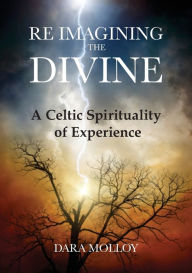 Title: Reimagining The Divine: A Celtic Spirituality of Experience, Author: Dara Molloy