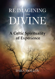 Title: Reimagining The Divine: A Celtic Spirituality of Experience, Author: Dara Molloy