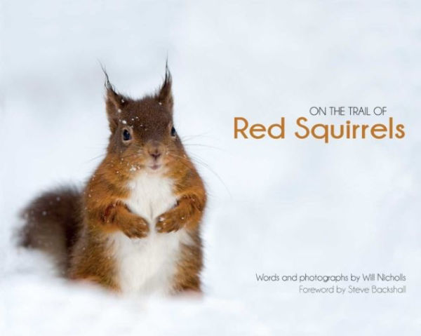 On the Trail of Red Squirrels