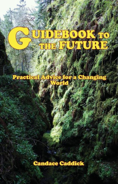 Guidebook to the Future