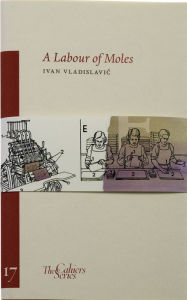 Title: A Labour of Moles, Author: Ivan Vladislavic