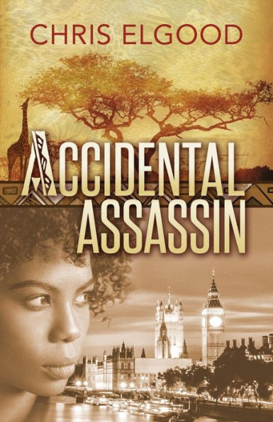 Accidental Assassin: The first of three books that follow the upward mobility of Nshila Marghrita Ileloka