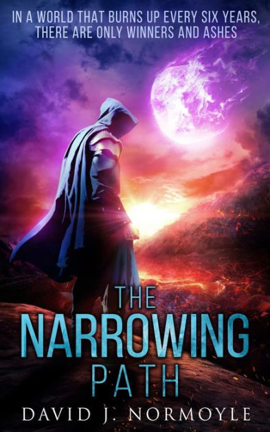 The Narrowing Path by David J Normoyle, Paperback | Barnes & Noble®