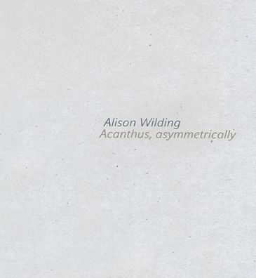 Alison Wilding: Acanthus Asymmetrically