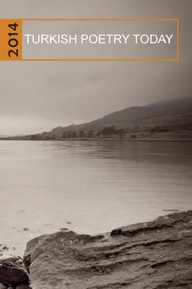 Turkish Poetry Today 2014