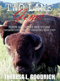 Title: Two Lane Gems, Vol. 2: Bison are Giant and Other Observations from an American Road Trip, Author: Theresa L Goodrich