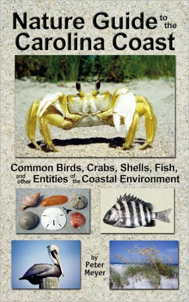 Nature Guide to the Carolina Coast: Common Birds, Crabs, Shells, Fish, and Other Entities of the Coastal Environment