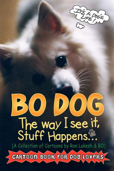 Bo Dog: The Way I See It, Stuff Happens