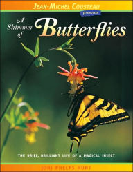 Title: A Shimmer of Butterflies: The Brief, Brilliant Life of a Magical Insect, Author: Joni Phelps Hunt