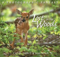 Title: Lost in the Woods: A Photographic Fantasy, Author: Carl R. Sams