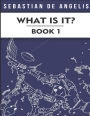 What Is It Book 1: Drawings 1 to 250