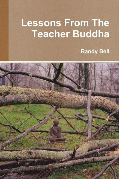 Lessons From The Teacher Buddha