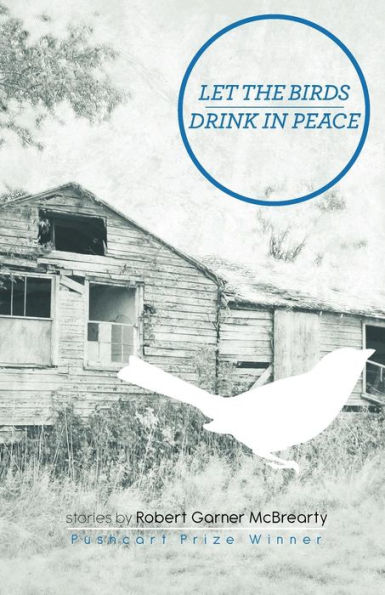 Let the Birds Drink in Peace: Stories