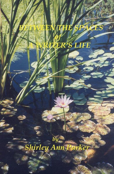 Between the Spaces of A Writer's Life