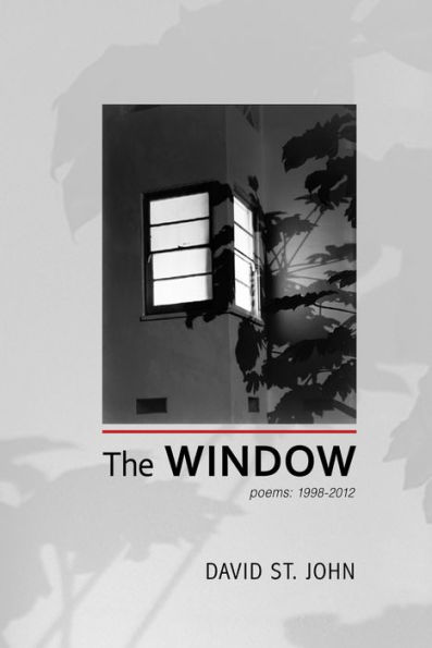 The Window