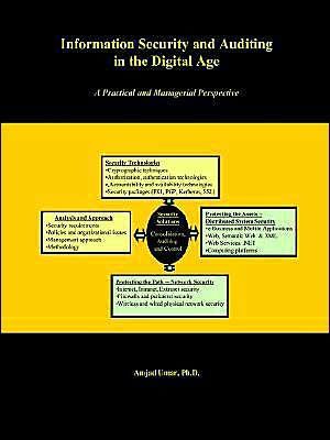 Information Security and Auditing in the Digital Age: A Practical Managerial Perspective / Edition 1