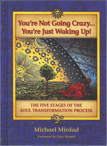 You're Not Going Crazy... You're Just Waking Up!: The Five Stages of the Soul Transformation Process