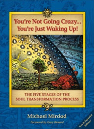 Title: You're Not Going Crazy . . . You're Just Waking Up!: The Five Stages of the Soul Transformation Process, Author: Michael Mirdad