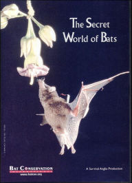 Title: The Secret World of Bats, Author: Bat Conservation International