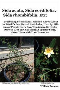 Title: Sida acuta, Sida cordifolia, Sida rhombifolia, Etc.: Everything Science and Tradition Knows about the World's Best Herbal Antibiotics, Used by Millions of People Every Day, Top Ayurvedic Herbs, Protein-Rich Survival Plants, Superior Fiber, Grow Them with, Author: William L Bruneau