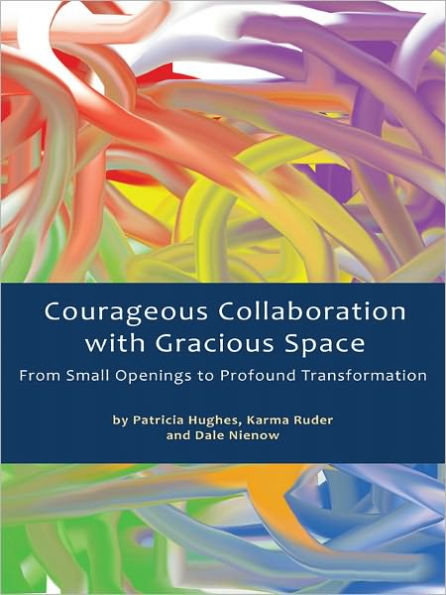 Courageous Collaboration with Gracious Space: From Small Openings to Profound Transformation