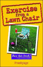 Exercise From A Lawn Chair