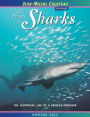 A Frenzy of Sharks: The Surprising Life of a Perfect Predator