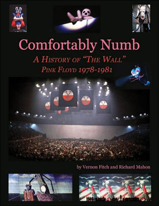 Comfortably Numb A History Of The Wall Pink Floyd 1978 1981 By