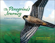 Title: The Peregrine's Journey: A Story of Migration, Author: Madeleine Dunphy