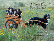 Title: A Birth Day for Hannah, Author: Linda Petrie Bunch
