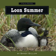 Title: Loon Summer: An Amazing and True Account of Loon Parenting for Adults and Children to Share, Author: Sandy Gillum