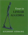 Essays in Linear Algebra
