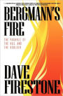 Bergmann's Fire: The Parable of the Hill and the Boulder