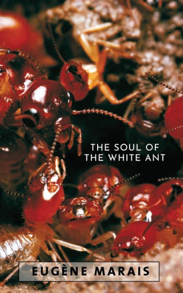 the Soul of White Ant